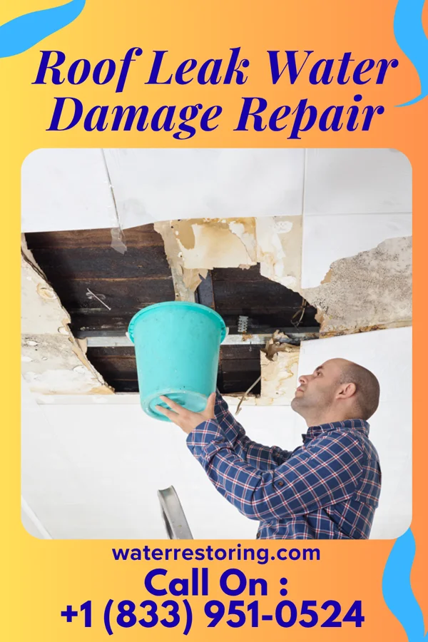 Roof Leak Water Damage Repair in Tolstoy, SD
